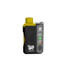 TASTY PODS 15000 Puff Kit - Mango Ice